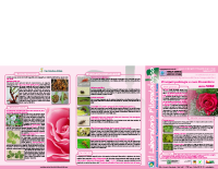 Notiziario Rose Notiziario Rose